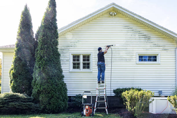 Best Local Pressure Washing Services  in Lawton, MI