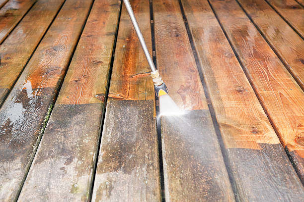 Best Roof Pressure Washing  in Lawton, MI