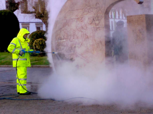 Best Residential Pressure Washing Services  in Lawton, MI